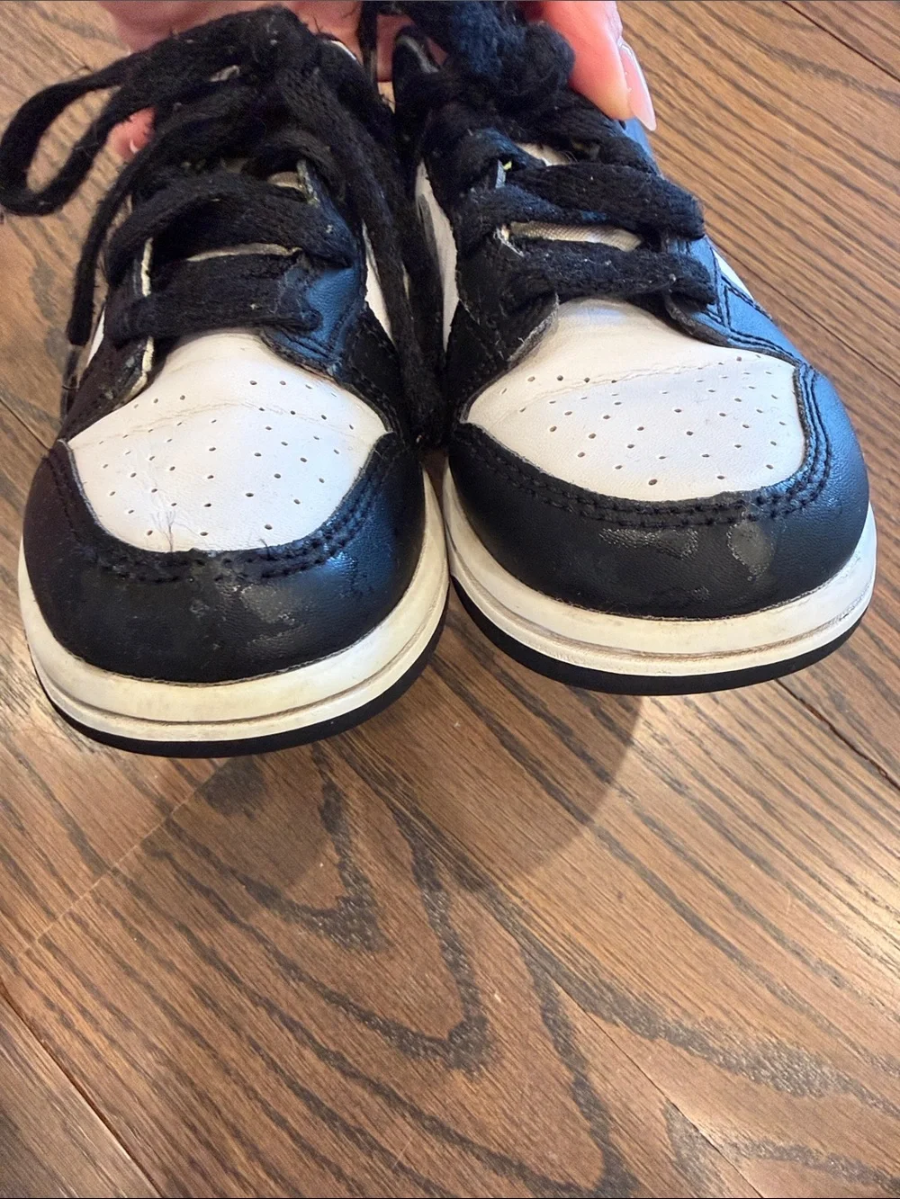 Nike Dunks Pandas Kids Black and White Low-Top Sneakers